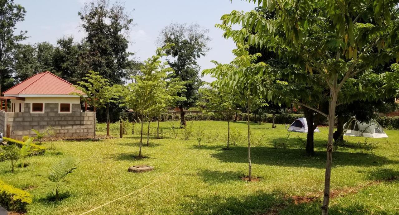 Msaranga Aivlys Lodge Kilimanjaro מראה חיצוני תמונה