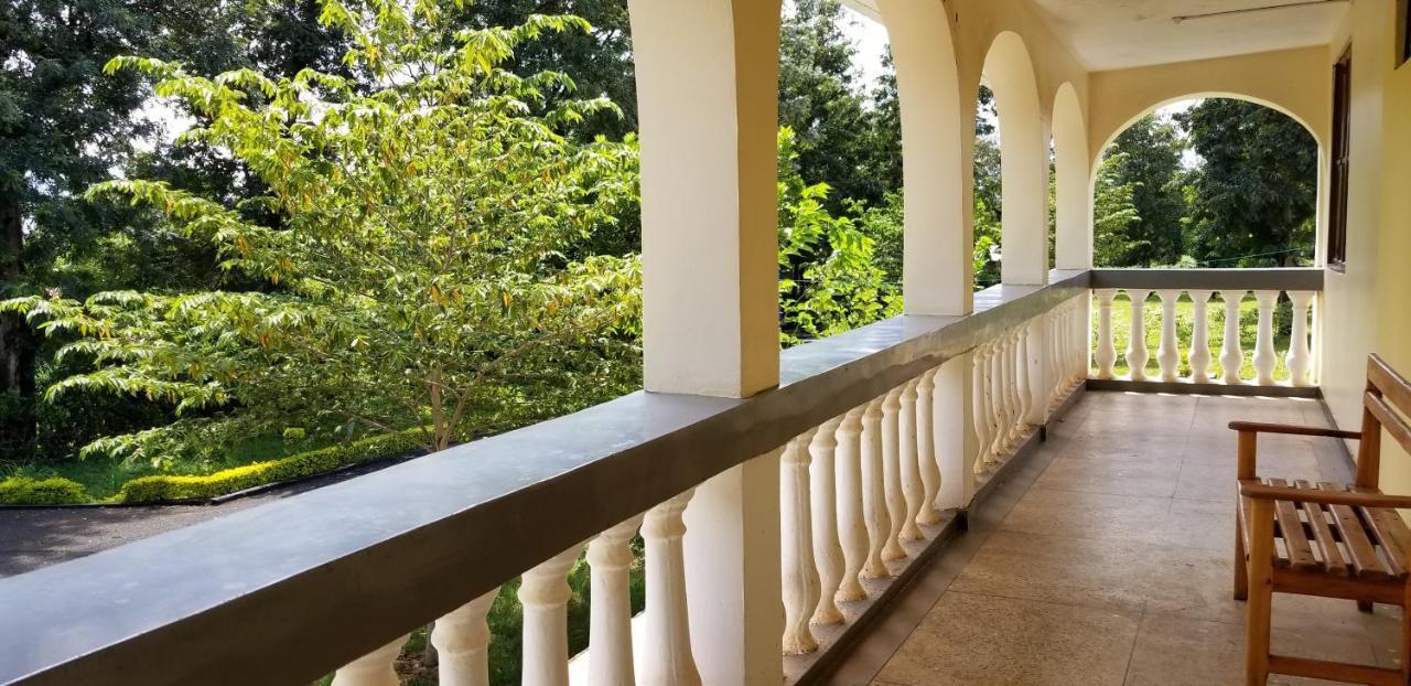 Msaranga Aivlys Lodge Kilimanjaro מראה חיצוני תמונה